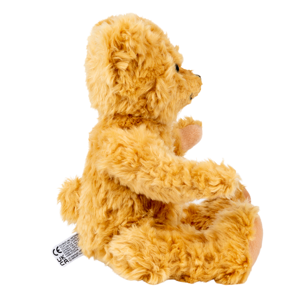 New Baby Sister Gift - Welcome to The World Little Sister Teddy Bear - Image 7