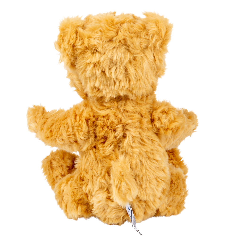 New Baby Sister Gift - Welcome to The World Little Sister Teddy Bear - Image 3