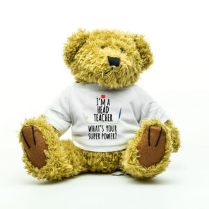 I'm A Head Teacher What's Your Super Power Teddy Bear - Gift For Head Teacher