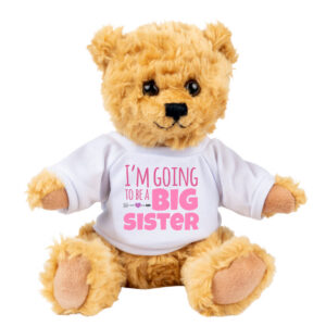 I'm Going To Be A Big Sister Teddy Bear - Gifts for Sisters