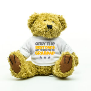 Only The Best Dads Get Promoted To Grandad Teddy Bear - Gifts for Him
