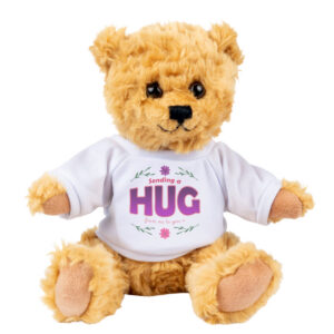 Sending A Hug From Me To You Teddy Bear Gift