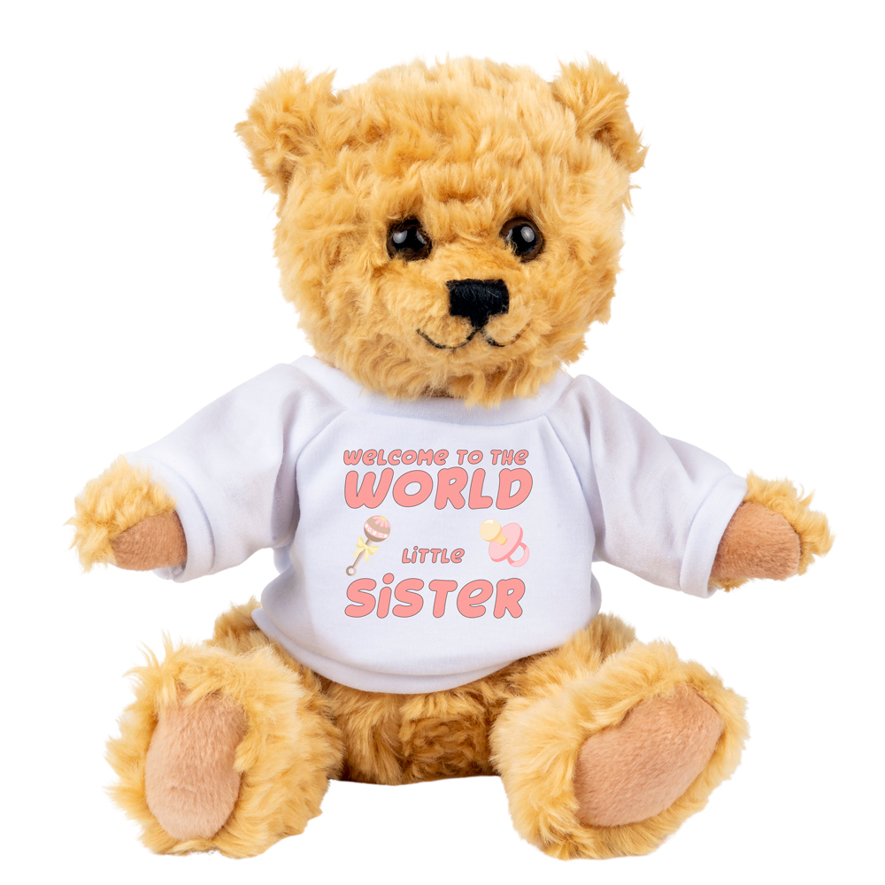 New Baby Sister Gift - Welcome to The World Little Sister Teddy Bear