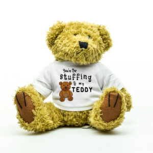 You're The Stuffing To My Teddy Teddy Bear - Gift for Partner